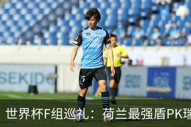 世界杯F组巡礼：荷兰最强盾PK瑞典犀利刀 日本短板明显