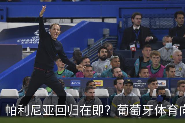 帕利尼亚回归在即？葡萄牙体育向其许诺队长袖标的背后故事