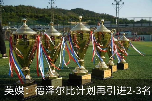 英媒：德泽尔比计划再引进2-3名球员，正在考察马尔穆什和加克波