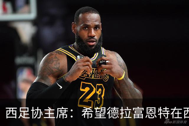 西足协主席：希望德拉富恩特在西班牙长期执教，当我们的弗格森