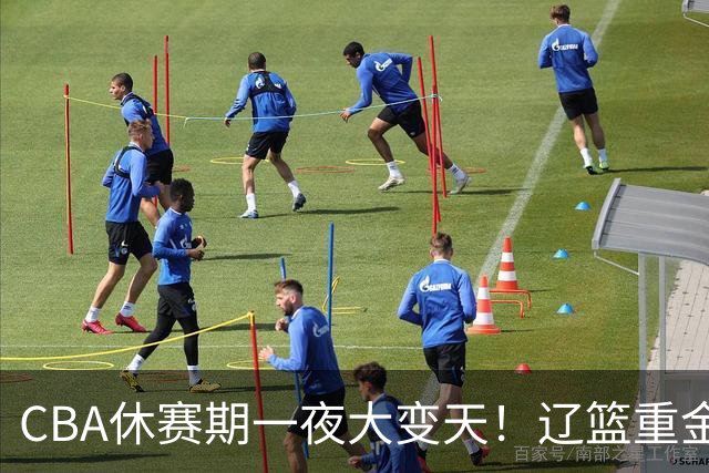 CBA休赛期一夜大变天！辽篮重金加入布朗抢夺大战，胡金秋报价虚高，最终或将有价无市无法转会